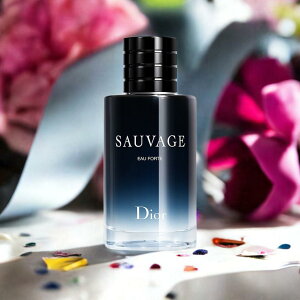 new fBI[ \@[W \@[WI[tHg@ EDP @sp