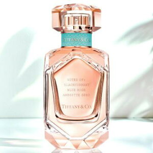 eBt@j[@[Y S[h I[hpt@@ EDP