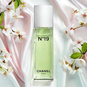 ňl@Vl@ No.19@EDT SP@ I[ hD g