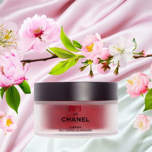 ňlyizVl@X[X N[ N°1 hD Vl