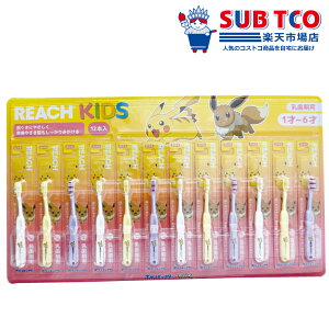REACH KIDS uV12{ p 1~6 a v[g  Lnh C x lC LN^[ y RpNgwbh ₷ ǂ 