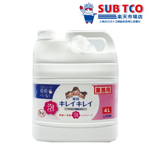 y23z菤izCI pLCLC Anh\[v lߑւ A 4L ECX΍ \h E  