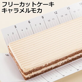 フリーカットケーキキャラメルモカケーキ スイーツ 冷凍 業務用　キャラメル モカ