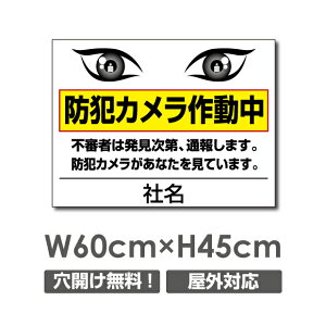 �_SS���Ԍ���ő唼�z�^�������� �v���[�g�Ŕy�h�ƃJ�����쓮���z�A���~������ W600mm×H450mm�h�ƃJ�����ݒu �����Ŕ� ����3mm �s�@���� �Ď��� 24���� �ʕ� ������� �p�� �h�� �^�撆 �s�R��