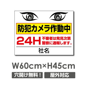 �_���Ԍ���ő�50��OFF�������� �v���[�g�Ŕy�h�ƃJ�����쓮���z�A���~������ W600mm×H450mm�h�ƃJ�����ݒu �����Ŕ� ����3mm �s�@���� �Ď��� 24���� �ʕ� ������� �p�� �h�� �^�撆 �s�R�� 