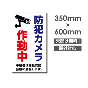 �_���Ԍ���ő�50��OFF�������� �v���[�g�Ŕy�h�ƃJ�����쓮���z�A���~������ W350mm×H600mm�h�ƃJ�����ݒu �����Ŕ� ����3mm �s�@���� �Ď��� 24���� �ʕ� ������� �p�� �h�� �^�撆 �s�R�� 