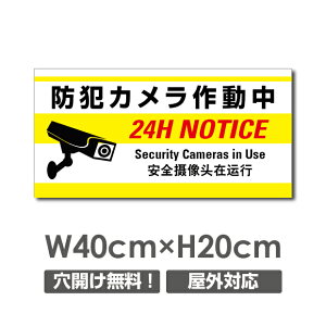 �_SS���Ԍ���ő唼�z�^�������� �v���[�g�Ŕy�h�ƃJ�����쓮���z�A���~������ W400mm×H200mm�h�ƃJ�����ݒu �����Ŕ� ����3mm �s�@���� �Ď��� 24���� �ʕ� ������� �p�� �h�� �^�撆 �s�R��