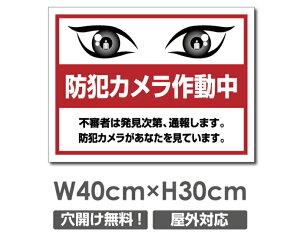�_SS���Ԍ���ő唼�z�^�������� �v���[�g�Ŕy�h�ƃJ�����쓮���z�A���~������ W400mm×H300mm�h�ƃJ�����ݒu �����Ŕ� ����3mm �s�@���� �Ď��� 24���� �ʕ� ������� �p�� �h�� �^�撆 �s�R��