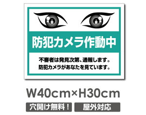 �_���Ԍ���S�i20��OFF�^�������� �v���[�g�Ŕy�h�ƃJ�����쓮���z�A���~������ W400mm×H300mm�h�ƃJ�����ݒu �����Ŕ� ����3mm �s�@���� �Ď��� 24���� �ʕ� ������� �p�� �h�� �^�撆 �s�R��