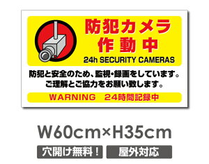 �_���Ԍ���ő�50��OFF�������� �v���[�g�Ŕy�h�ƃJ�����쓮���z�A���~������ W600mm×H350mm�h�ƃJ�����ݒu �����Ŕ� ����3mm �s�@���� �Ď��� 24���� �ʕ� ������� �p�� �h�� �^�撆 �s�R�� 