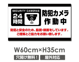 �_���Ԍ���ő�50��OFF�������� �v���[�g�Ŕy�h�ƃJ�����쓮���z�A���~������ W600mm×H350mm�h�ƃJ�����ݒu �����Ŕ� ����3mm �s�@���� �Ď��� 24���� �ʕ� ������� �p�� �h�� �^�撆 �s�R�� 