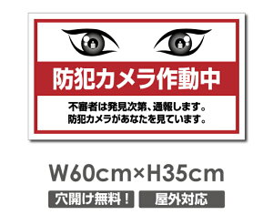 �_���Ԍ���ő�50��OFF�������� �v���[�g�Ŕy�h�ƃJ�����쓮���z�A���~������ W600mm×H350mm�h�ƃJ�����ݒu �����Ŕ� ����3mm �s�@���� �Ď��� 24���� �ʕ� ������� �p�� �h�� �^�撆 �s�R�� 