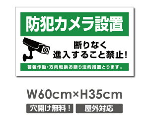 �_���Ԍ���S�i20��OFF�^�������� �v���[�g�Ŕy�h�ƃJ�����쓮���z�A���~������ W600mm×H350mm�h�ƃJ�����ݒu �����Ŕ� ����3mm �s�@���� �Ď��� 24���� �ʕ� ������� �p�� �h�� �^�撆 �s�R��