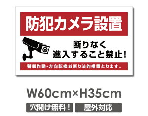 �_SS���Ԍ���ő唼�z�^�������� �v���[�g�Ŕy�h�ƃJ�����쓮���z�A���~������ W600mm×H350mm�h�ƃJ�����ݒu �����Ŕ� ����3mm �s�@���� �Ď��� 24���� �ʕ� ������� �p�� �h�� �^�撆 �s�R��