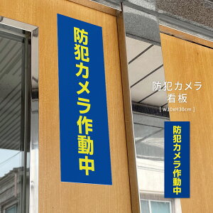 �y50%OFF �N�[�|�����p��1250�~�z�v���[�g�Ŕy�h�ƃJ�����쓮���z�F W10×H30cm �s�@���� �Ď��J���� �쓮�� �Ď��� 24���� �^�撆 ���O �����Ŕ� cmr-10