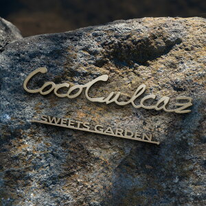 �y������50%OFF���Ռ����i17900�~�`�z�V���� ���{�� �\�D �X�e�����X �A�C�A�� �I�[�_�[���C�h �؂蕶�� �S�[���h �ˌ� �ˌ��� �和 ���� ���e�@ �T���� �Ŕ��X�������T�C�� ������� DIY �M�L