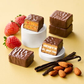 母の日 お菓子【季節をたのしむミルフィユ〜春の訪れ〜 6個入】お菓子 ギフト 個包装 スイーツ 焼き菓子 洋菓子 プレゼント ミルフィーユ チョコレート ラズベリー 職場 退職 お礼 内祝い お返し お祝い 結婚祝い 出産祝い 東京 お土産 手土産 菓子折り 可愛い フランセ