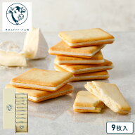 母の日 お菓子【ソルト＆カマンベールクッキー9枚入】個包装 可愛い おしゃれ クッキー チーズ 焼き菓子 …