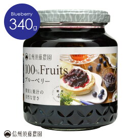 信州須藤農園 砂糖不使用 100％フルーツ ブルーベリー340g 単品