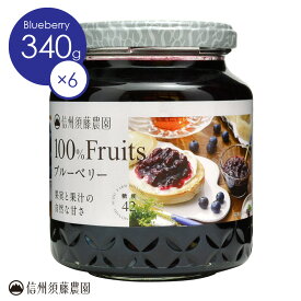 【送料無料】信州須藤農園 砂糖不使用 100％フルーツ ブルーベリー340g 1ケース6本入り