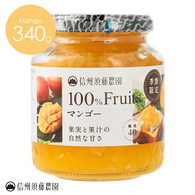 信州須藤農園 砂糖不使用 100％フルーツ マンゴー340g 単品