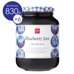 yP[X̔z@Xh[WƖpu[x[W830g@1P[Xi6{j