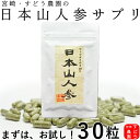日本山人参サプリ お試し♪100％純粋粉末カプセル30粒・宮崎県・農家直...