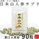 日本山人参サプリ(ヒュウガトウキ)100％純粋粉末カプセル９０粒【約１...