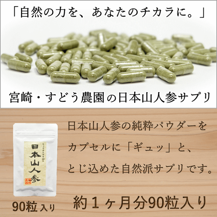 楽天市場】日本山人参サプリ(ヒュウガトウキ)100％純粋粉末カプセル