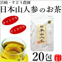 日本山人参茶（ヒュウガトウキ茶）20包入り【焙煎仕込み】★メール便に...