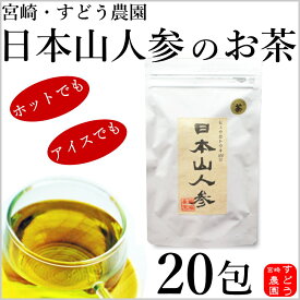 日本山人参茶（ヒュウガトウキ茶）20包入り【焙煎仕込み】★メール便にて送料無料！宮崎県産100％農家直送便！ノンカフェイン【日向当帰/日本山ニンジン/日本山人参茶/国産　日本山人参茶/ヒュウガトウキのお茶/日向当帰 茶/日本山人参茶　通販/販売】すどう農園