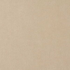 XG[hn GN(1m50cmPʂŔ̔)