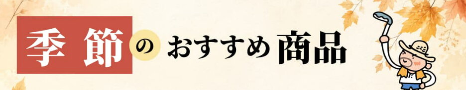 秋のおすすめ商品