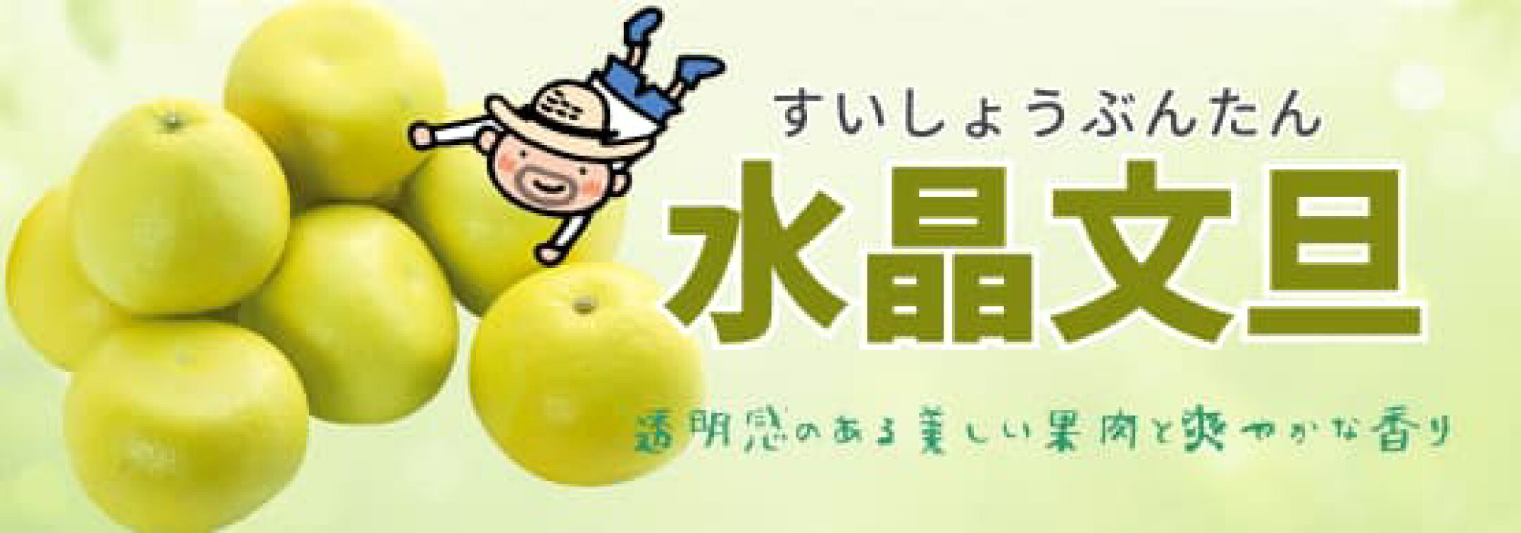 水晶文旦