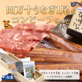 四万十うなぎ1尾とコンビーフせっと 国産うなぎ コンビーフ 高知お取り寄せ しまんと 四万十川育ち お中元 御中元 蒲焼 蒲焼き かばやき 【冷凍発送】