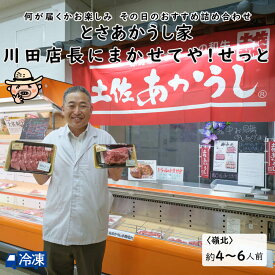 とさあかうし家　川田店長にまかせてや！せっと　嶺北 とさあかうし家 土佐あかうし 和牛 牛肉 土佐 あかうし 【冷凍発送】