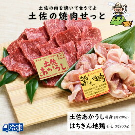 【送料無料】土佐の焼肉せっと！〈梅〉