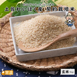 y11{蔭Jnzy2025NYVāz yꂢقY@_͔|ā@ā@5kg   ɂ܂ yꂢقY _͔| 5kg  R  mY yz