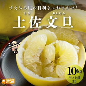 【2月中旬より発送予定】 土佐文旦 ギフト用 3L 10kg 文旦 露地 土佐 高知 国産 【送料無料】 北海道・沖縄・離島などの一部の地域は追加送料発生