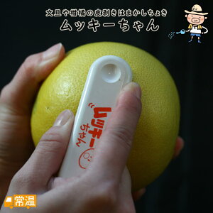 bL[1 Lb`pi ނ U k  ֗