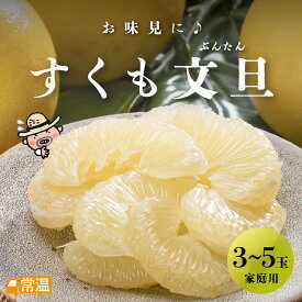 【1月下旬より発送予定】 すくも文旦お味見箱 家庭用 M〜4L 3〜5玉 文旦 木なり 越冬 完熟文旦 柑橘 すくも 【送料無料】 北海道・沖縄・離島などの一部の地域は追加送料発生