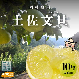 【2月中旬より発送予定】 岡林農園 家庭用10kg3L4L 文旦 岡林農園 露地 無農薬 農薬不使用 家庭用 【送料無料】 北海道・沖縄・離島などの一部の地域は追加送料発生