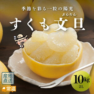 y1{蔭\z U 2L10kg U ؂Ȃ z~ nU k  yz kCEEȂǂ̈ꕔ̒n͒ǉ