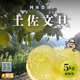 【2月中旬より発送予定】 岡林農園 家庭用文旦 3Lまたは4L 5kg 文旦 岡林農園 露地 無農薬 農薬不使用 家庭用 【送料無料】 北海道・沖縄・離島などの一部の地域は追加送料発生