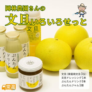 y2{蔭\z є_̕U낢낹 ysz U є_ In _ _sgp ƒp y m Y yz y͂wsz