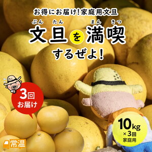 U𖞋i邺I3񂨓͂ U In k ƒp A y yz