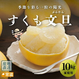 【1月下旬より発送予定】 すくも文旦 家庭用10kg 文旦 木なり 越冬 完熟文旦 柑橘 すくも 【送料無料】 北海道・沖縄・離島などの一部の地域は追加送料発生