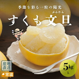 【1月下旬より発送予定】 すくも文旦 L5kg 文旦 木なり 越冬 完熟文旦 柑橘 すくも 【送料無料】 北海道・沖縄・離島などの一部の地域は追加送料発生