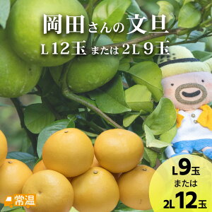 y2{蔭\z c̕U@L12ʂ܂2L9ʓ ysz U c_ EM EM͔| LpQ In y m Y yz y͂wsz