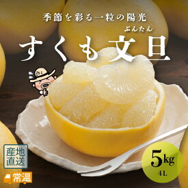 【1月下旬より発送予定】 すくも文旦 4L 5kg 文旦 木なり 越冬 完熟文旦 柑橘 すくも 【送料無料】 北海道・沖縄・離島などの一部の地域は追加送料発生